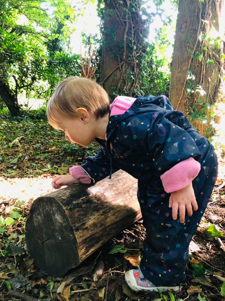 Forest School